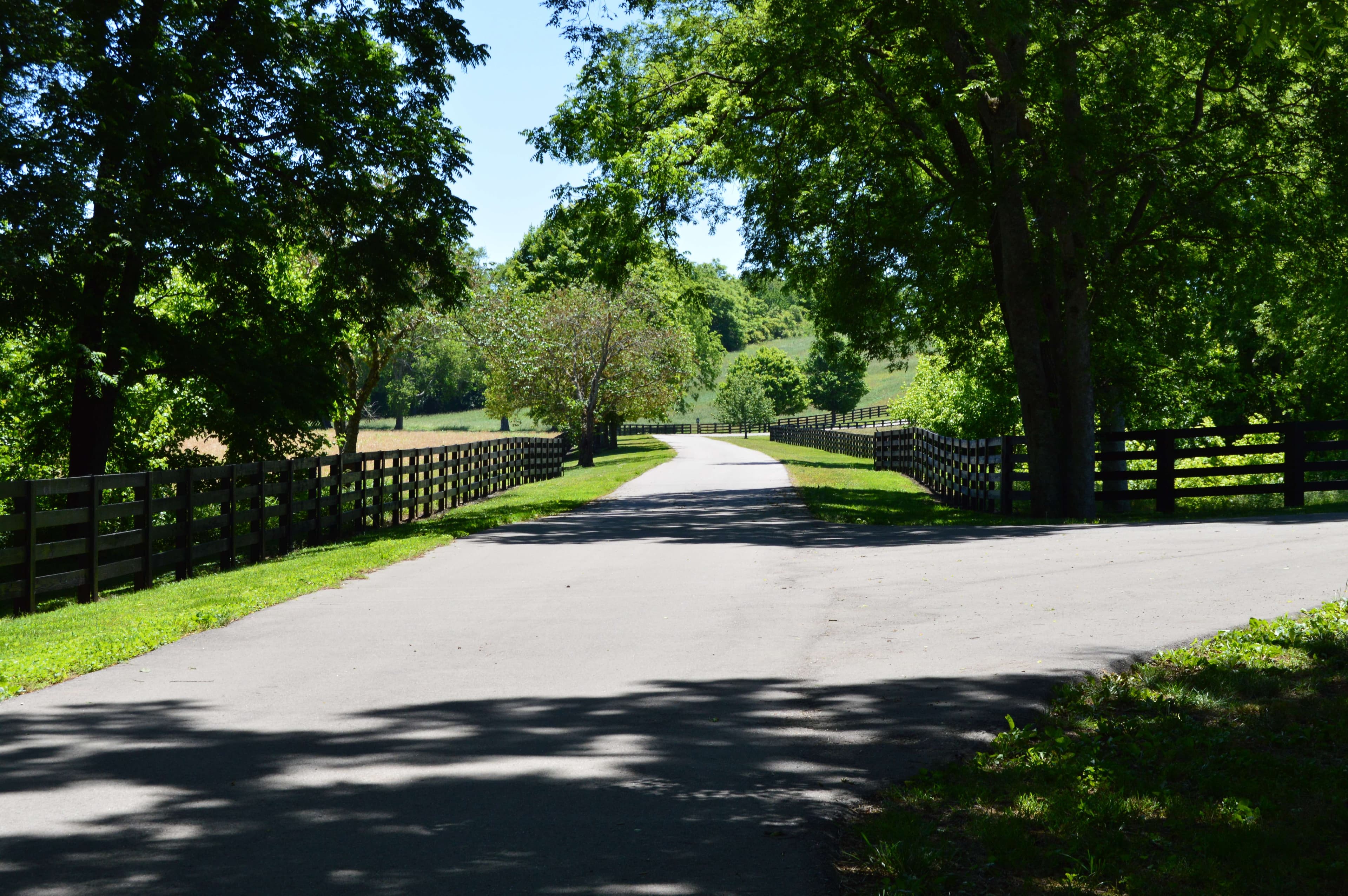 Sun-dappled paved road curving through a lush green landscape with black wooden fences and trees.