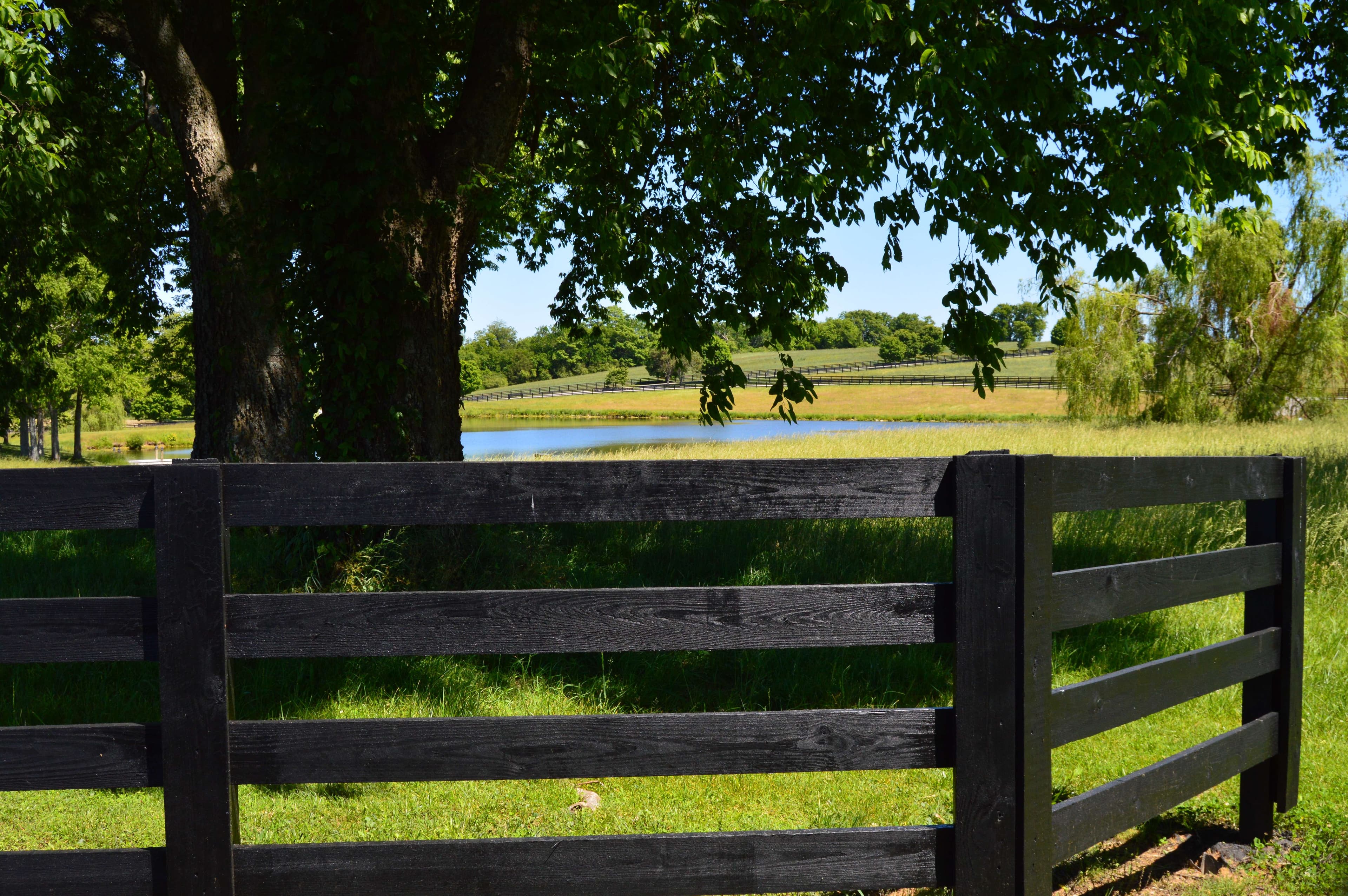 Black wooden fence in the foreground overlooking a peaceful pond and rolling green hills.